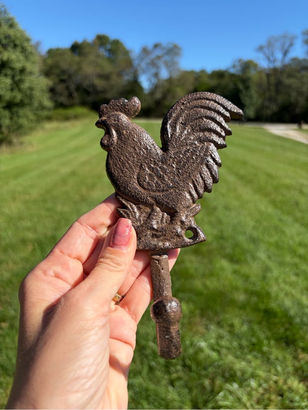 Rooster Wall Hook Hanger Cast Iron Rustic Brown Finish Antique Style